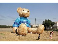 3楼高迷路小熊坐在田中央　“台中地景艺术节”登场