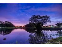 再现康熙时期美景！嘉义“北香湖”30日前开放