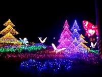 三芝、石门、金山北海岸灯海闪烁！ 2014耶诞好浪漫