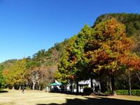 来去奥万大看“枫”景　林务局推环保旅游省时又省钱