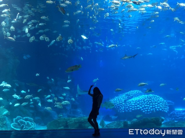▲长隆海洋王国。（图／记者陈涵茵摄）