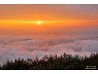 搭乘非大型游览车团客入阿里山　12月起也需预约