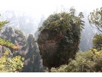 到潘朵拉星球找寻哈利路亚山 还能来上一口冰炫风