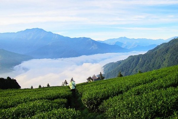 ▲台中近郊户外景点Top5户外露营登山秘境。（图／Tripbaa提供）