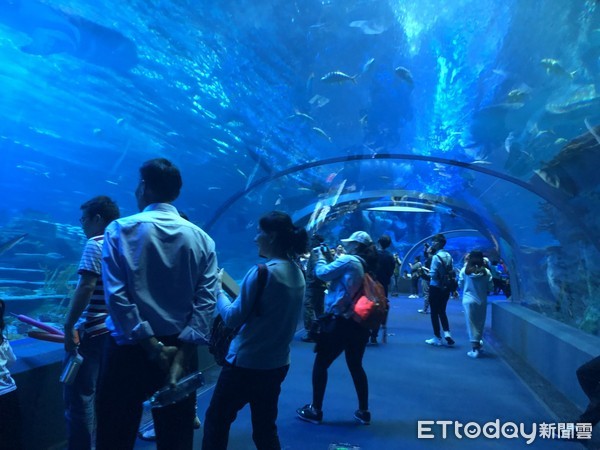 ▲长隆海洋王国。（图／记者陈涵茵摄）