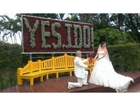 踩上菊花高跟鞋大喊YES I DO！北市士林官邸菊展登场