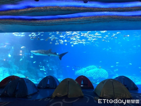 ▲长隆海洋王国。（图／记者陈涵茵摄）