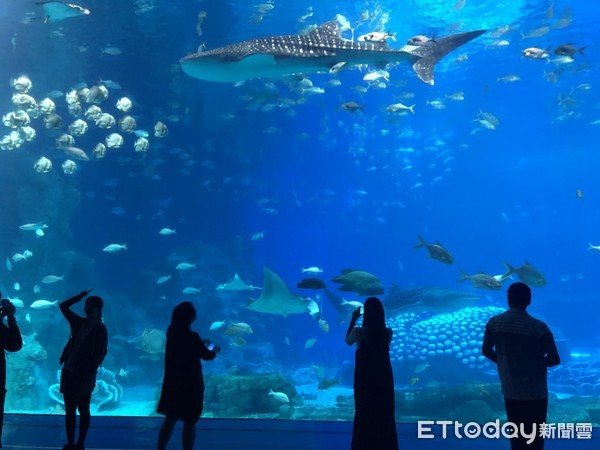 ▲长隆海洋王国。（图／记者陈涵茵摄）