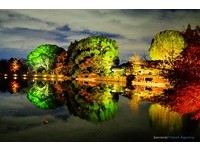 大泽池化身水镜　京都大觉寺火红枫叶倒映湖面如画