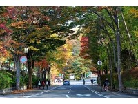 日圆贬势再起日本旅游热！逼近1美元兑换113日圆大关