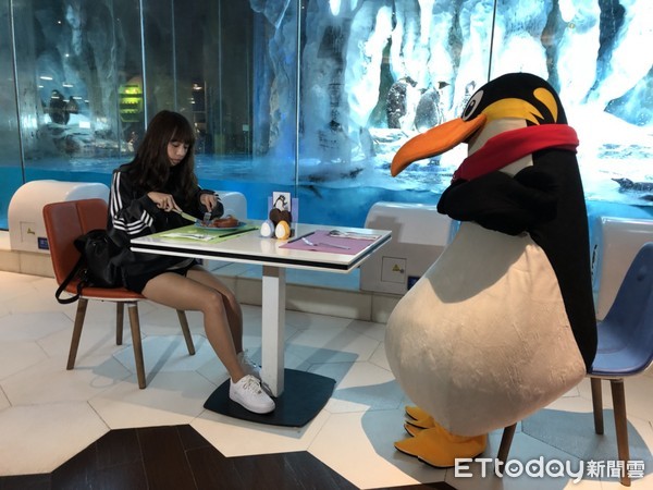 ▲长隆珠海海洋王国企鹅酒店。（图／记者陈涵茵摄）