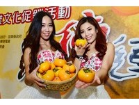 柿子红了！苗栗泰安甜柿促销周末登场