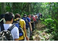 国宝师傅讲手工石砌梯方法　新北登山节免费导览登场