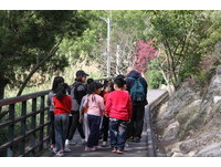 探访台北最古老地层　北投贵子坑环境教育亲子同游趣