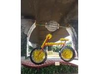 用在地作物打造！屏东“黄金自行车”吸睛