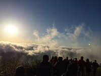 情侣6°C发抖共围围巾　原来等的是这般奇景
