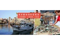 体验“百蟹窜动”的震撼感　野柳渔港卸货展演27日开始