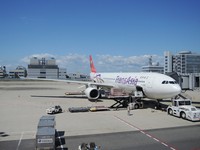 快讯／“黄蜂”袭日　复兴航空今取消飞大阪2航班