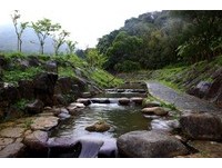 错过得等明年　到内湖大沟溪看“紫斑蝶”满天飞舞