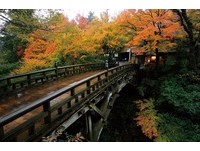 秋季360度环绕的赏枫绝景　日本石川看红叶超立体