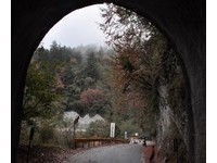 中横枫红了！太鲁阁国家公园体验生态、峡谷美景