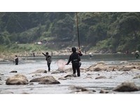 钓客当心！10月起在坪林溪钓最高开罚15万元