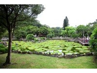 台北市双溪公园　周末免费体验乘“大王莲”游池趣