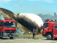 霍夫曼《月兔》起火了　兔头与四肢化为灰烬