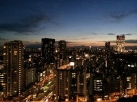 东京登革热累积22例　观光局：旅客特别注意