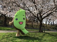 “台湾达”返乡参加路跑　本周六先办3场粉丝见面会