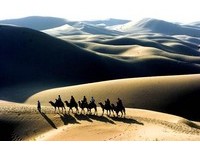 听见草原与沙漠的呼唤？旅游蒙古就是要趁秋天