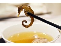 广府菜经典食材　惊见“海马”整只入汤　