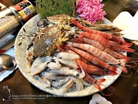 平价台北南港海鲜锅　超人气“痛风海胆锅”