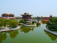 迎接洛阳牡丹花季　穿梭河南探访古都的记忆