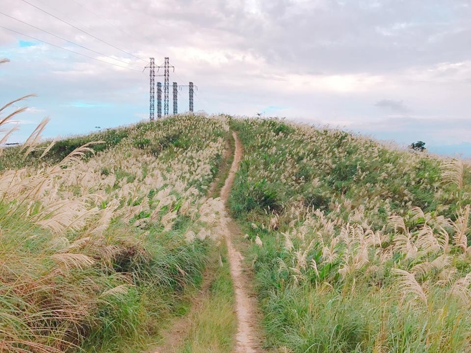 ▲树林、龟山交界的三角埔顶山。（图／记者赖文萱摄）