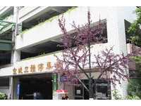 全台第一座免持卡科技停车场　主打“金城舞”风格