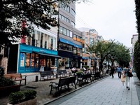 连日本人都想住的“自由之丘”　东京慢生活的逛街首选