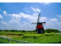 台南德元埤荷兰村　25日露营开始收取场地费
