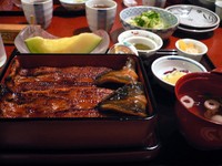 今天吃鳗鱼了吗？土用丑日必尝的夏日精力料理