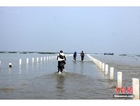 宛如一条水龙的道路　鄱阳湖涨水意外形成美景