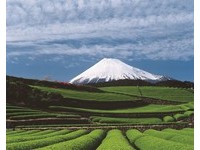 富士山列世界文化遗产满一年　送台北静冈来回机票