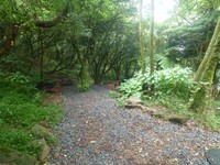 7月19日一起登阳明山横岭古道、探索神秘防空洞