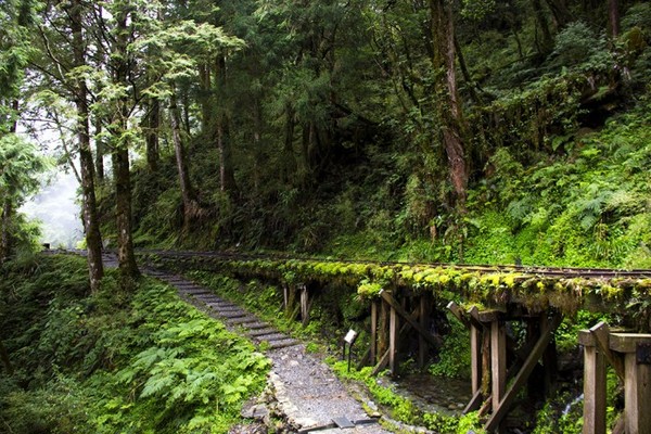 ▲全台14条行山健行路线分级攻略。(图/Tripbaa提供)