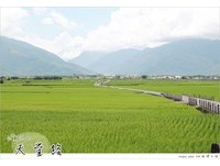 池上，美在什么？放眼望去没阻碍的风景和没电线杆道路