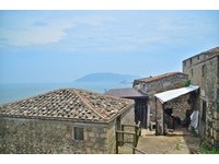 恋上大Wu岛迷人美景！他成为无人岛上唯一居民