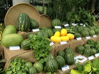 不吃冰也很凉快！5种蔬果完胜夏天酷热