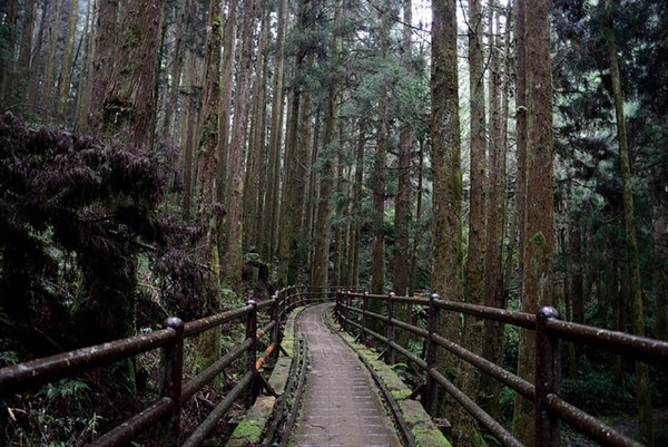 ▲全台14条行山健行路线分级攻略。(图/Tripbaa提供)
