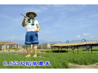 “进击的稻草人”　宜兰三星巨大稻草农夫为米香节暖身
