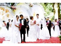 在千年神木下互许终生“阿里山神木下婚礼”即日起报名