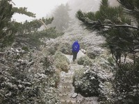 积雪持续增加！合欢山、玉山化身银白雪国　山上涌车潮